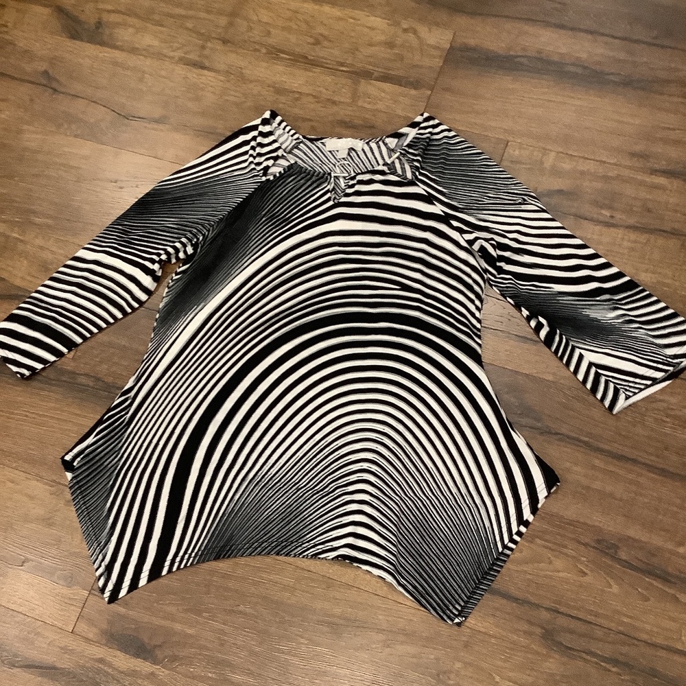 Carolyn Taylor “Diana” Tunic NWT